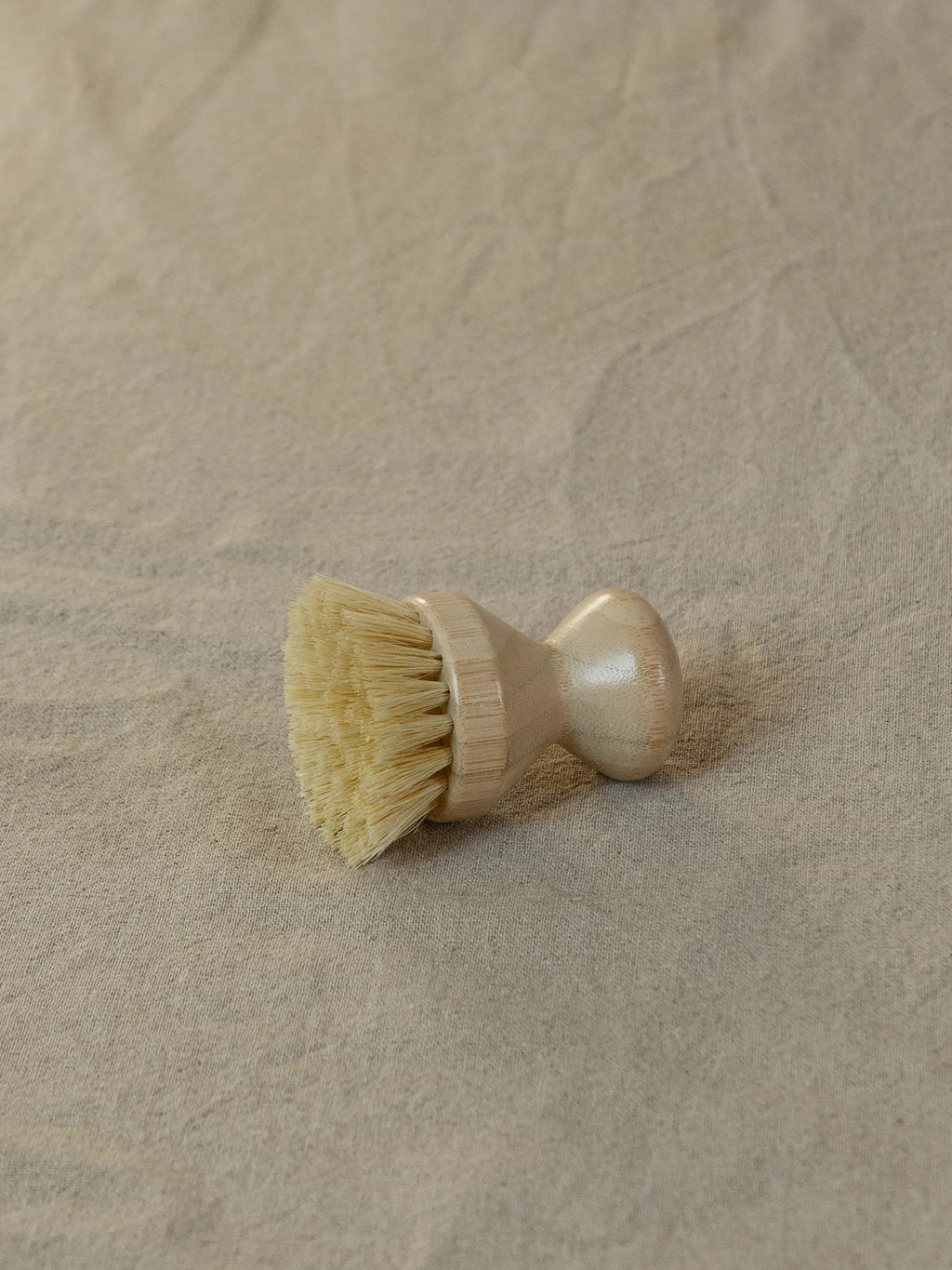 Cleaning Brush