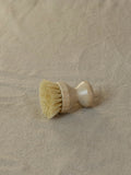 Cleaning Brush