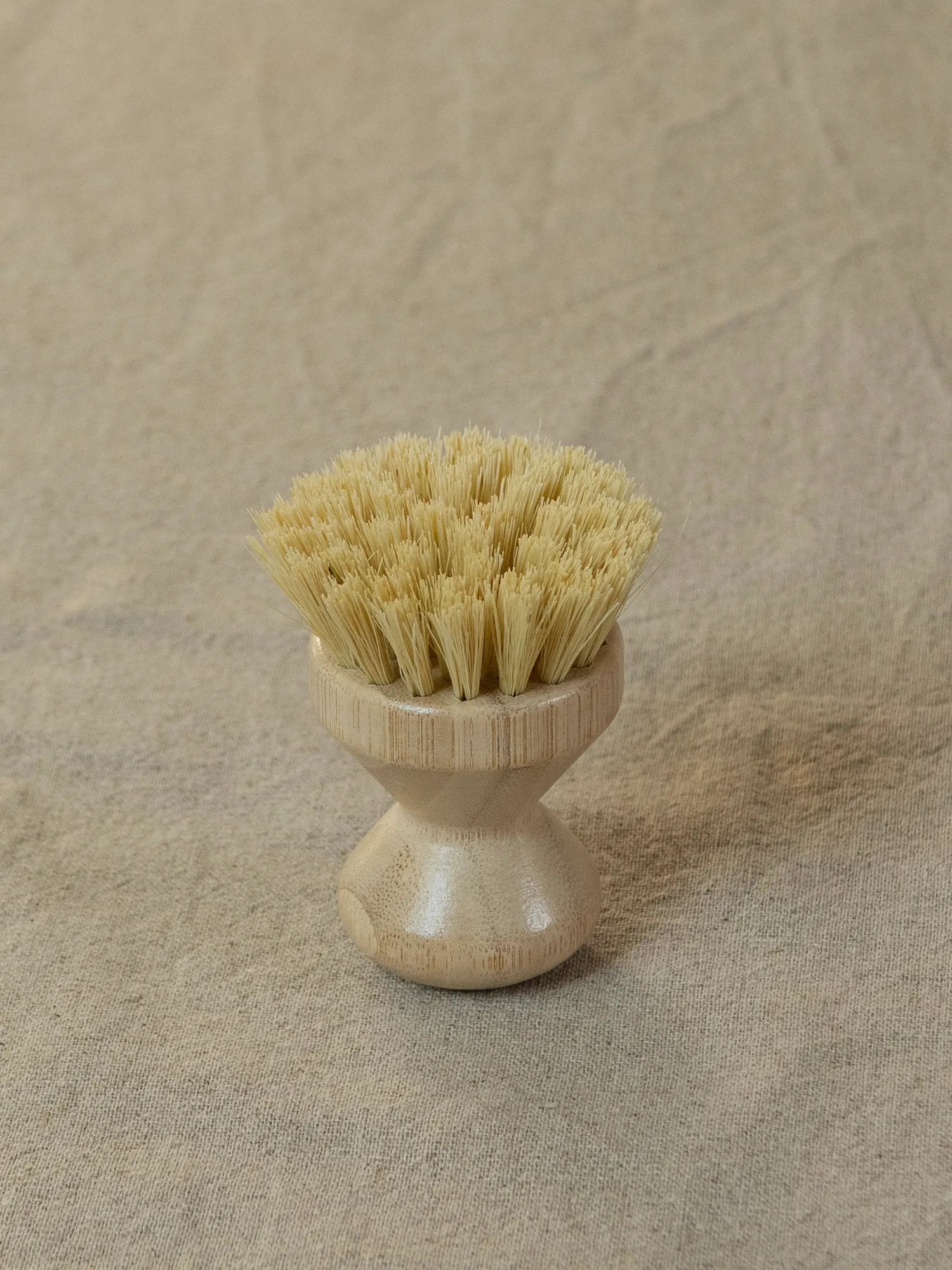 Cleaning Brush