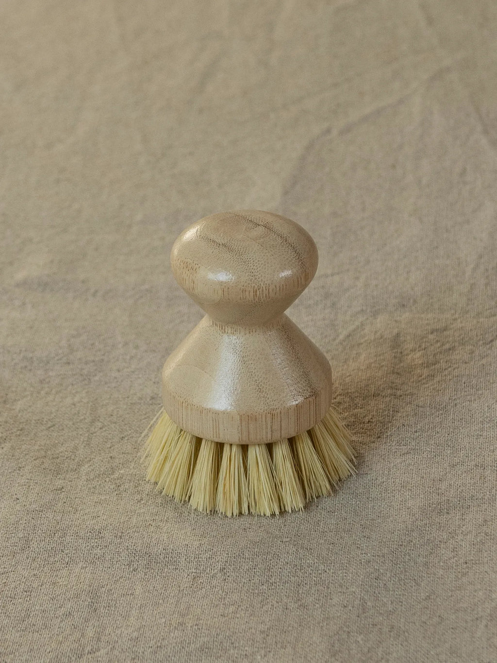 Cleaning Brush