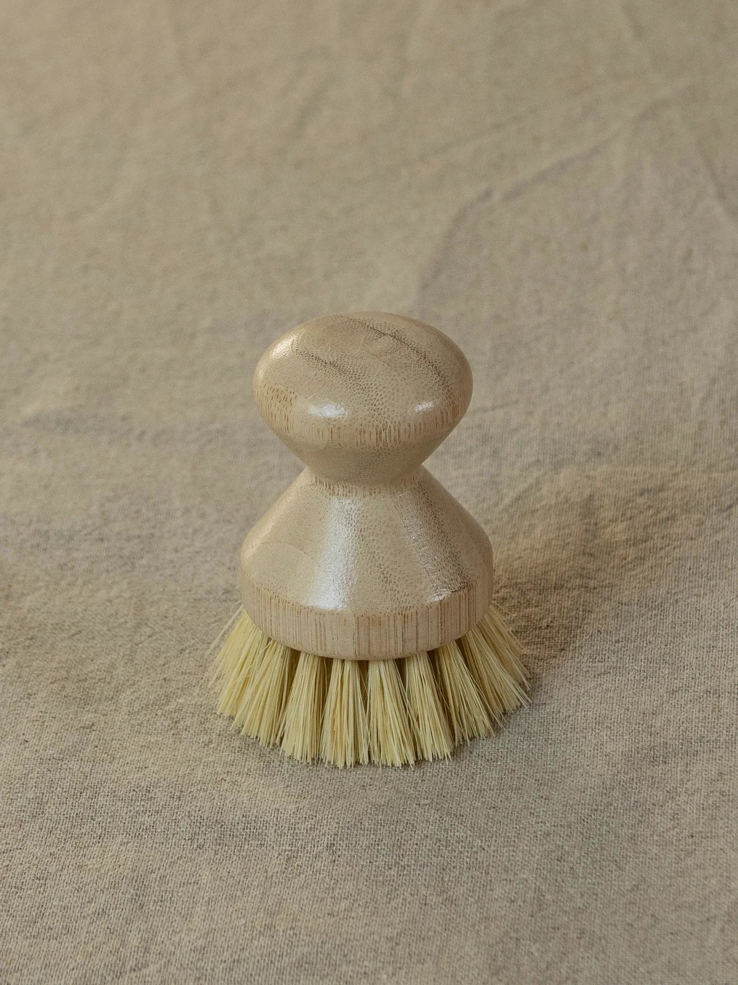 Cleaning Brush