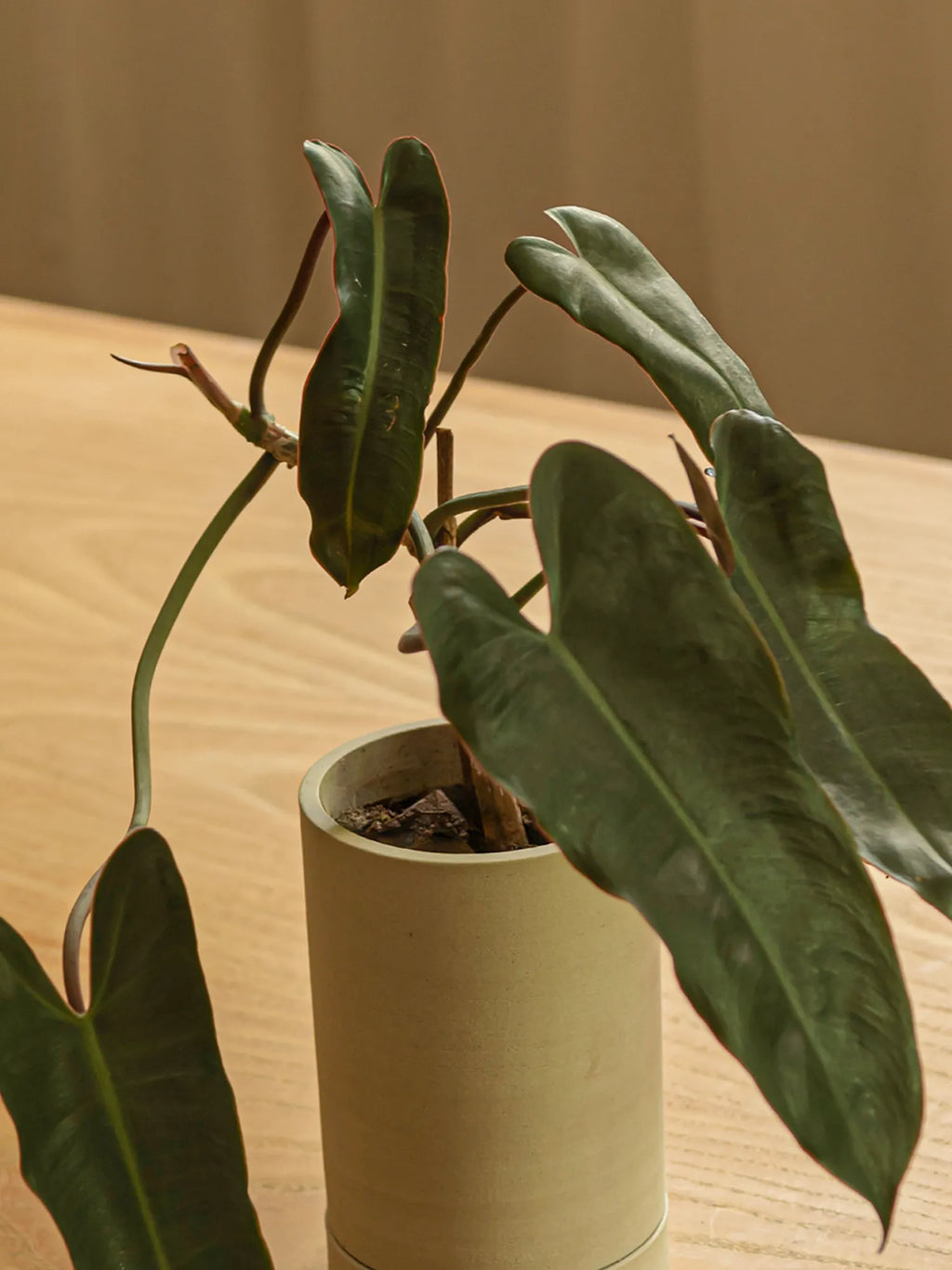 Straight Tall Planter - 010
