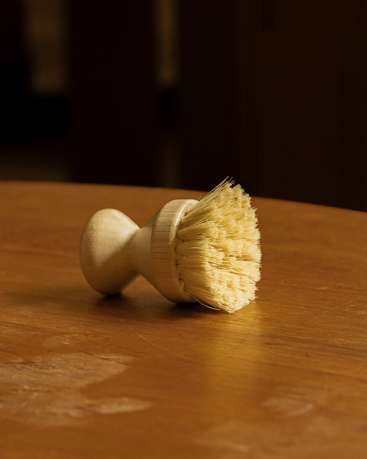 Cleaning Brush